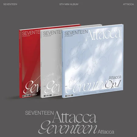 SEVENTEEN - Attacca (Random)